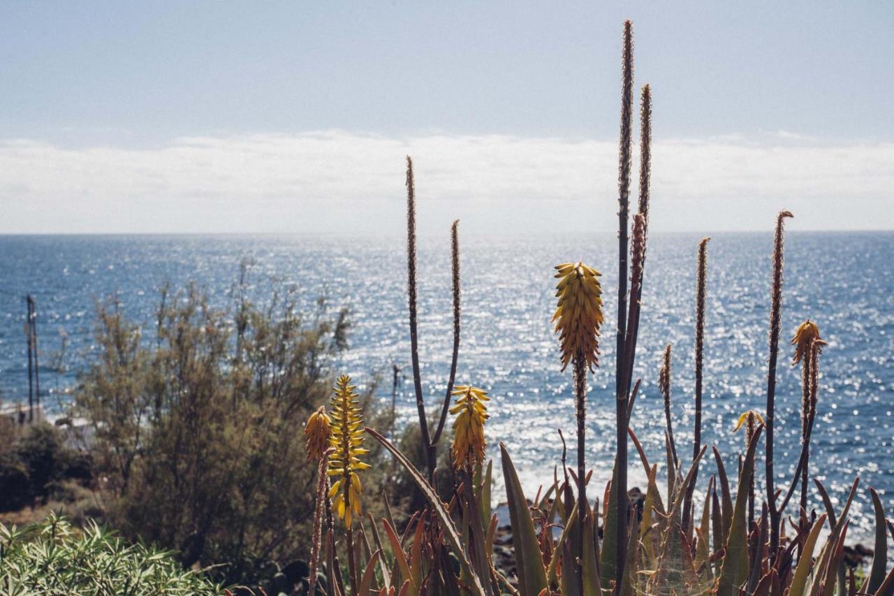 Canary Casita Next To The Atlantic Ocean * Radazul