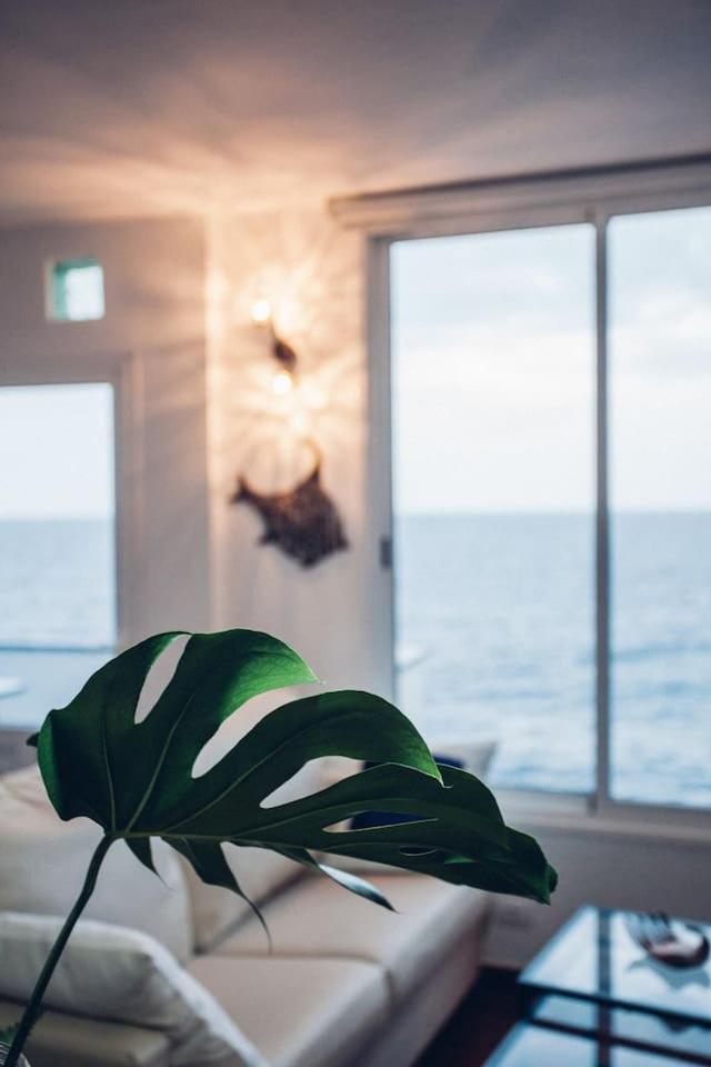 Canary Casita Next To The Atlantic Ocean *